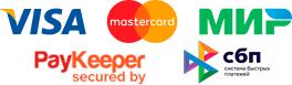 принимаем к оплате visa mastercard мир СБП visa mastercard мир СБП